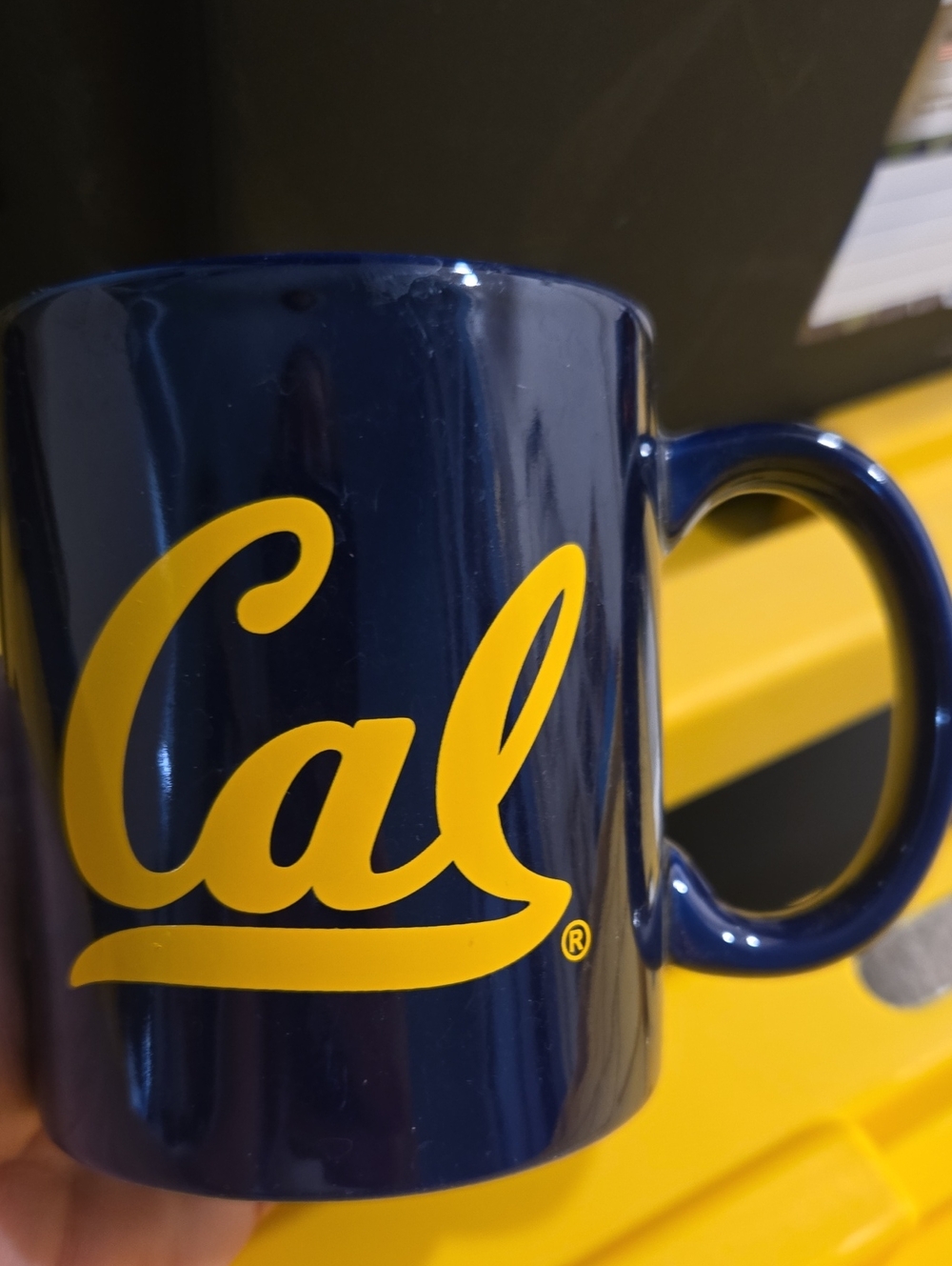 Cal Script Logo Navy & Gold Mug